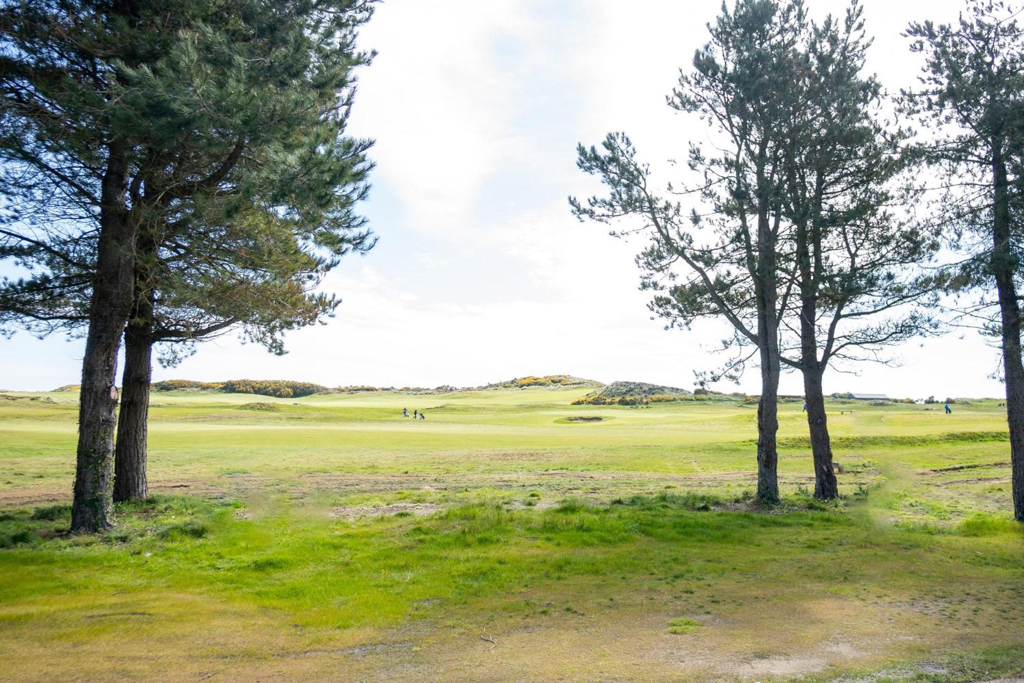 Hébergement de vacances Golf Links - Views Of Royal County Down Newcastle (Down)